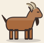 A chamois goat
